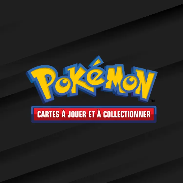 article-catégorie-pokemon